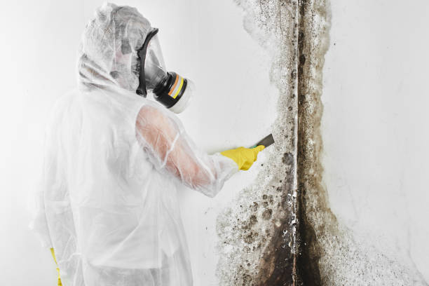 Best Residential Mold Inspection & Testing  in Smith Center, KS